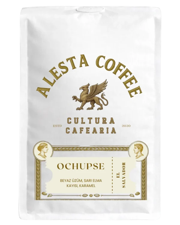El Salvador Ochupse anaerobik natural filtre kahve paketi