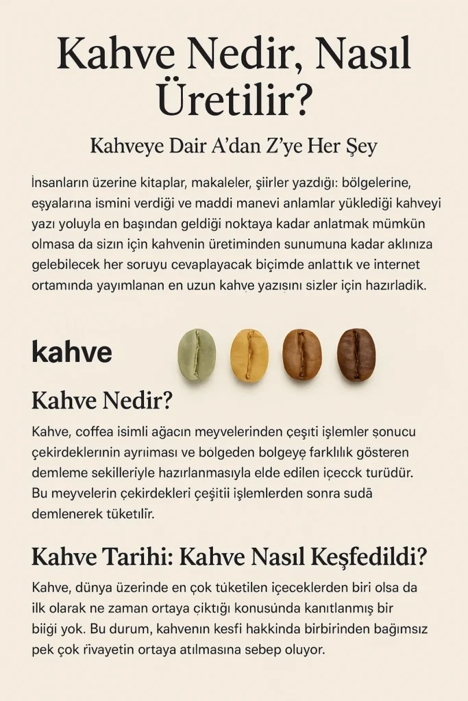 Kahvenin Serüveni: Topraktan Fincana Uzanan Efsane Tat